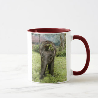 Elefant-Tasse des Herzens I Tasse