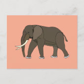 Elefant Tier Postkarte (Vorderseite)