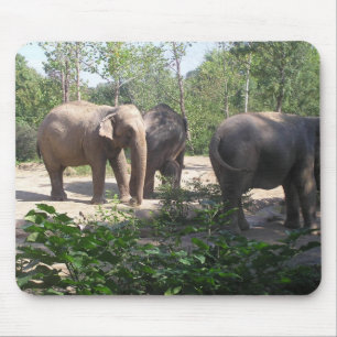 Elefant-Trio Mousepad