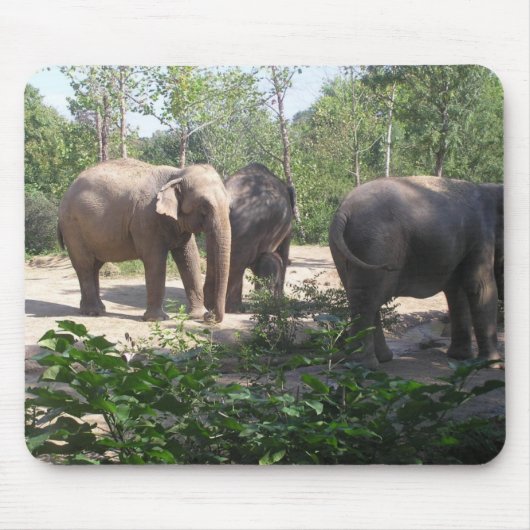 Elefant-Trio Mousepad (Vorne)