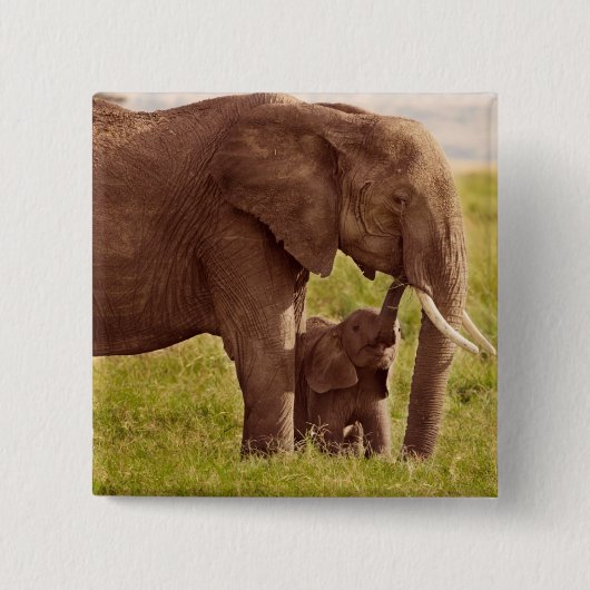 Elefant u. Baby Getty Bild-| Button (Vorderseite)