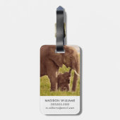 Elefant u. Baby Getty Bild-| Gepäckanhänger (Rückseite vertikal)