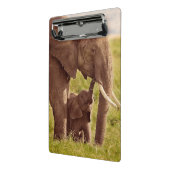 Elefant u. Baby Getty Bild-| Mini Klemmbrett (Gewinkelt2)