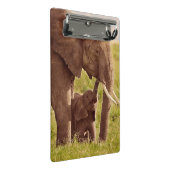 Elefant u. Baby Getty Bild-| Mini Klemmbrett (Schrägansicht)
