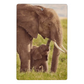 Elefant u. Baby Getty Bild-| Mini Klemmbrett (Rückseite)