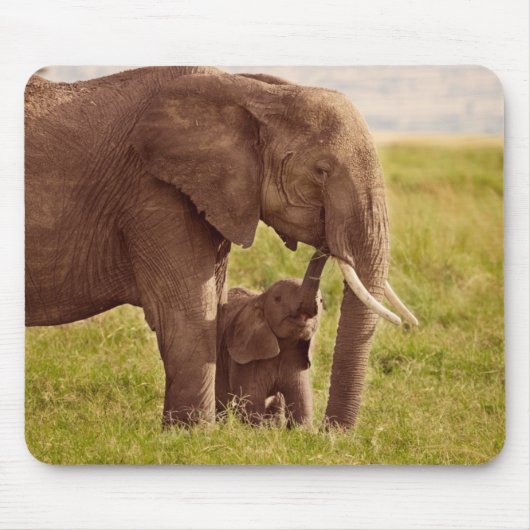 Elefant u. Baby Getty Bild-| Mousepad (Vorne)