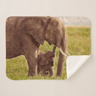 Elefant u. Baby Getty Bild-  Sherpadecke