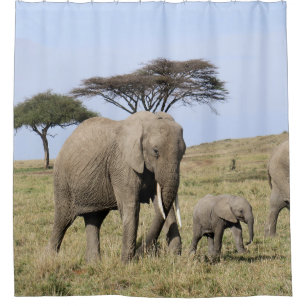 Elefant- u. Babypartyduschvorhang Duschvorhang