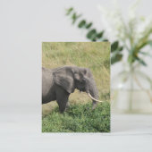 Elefant-Uganda-Afrika-2 Postkarte (Stehend Vorderseite)