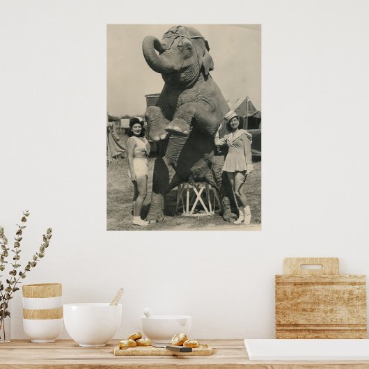 Elefant und 2 Mädchenzirkus Poster (Küche)