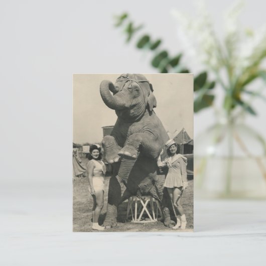 Elefant und 2 Mädchenzirkus Postkarte (Stehend Vorderseite)