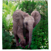 Elefant und Dschungel