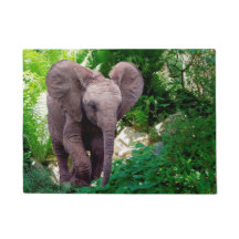 Elefant und Dschungel