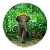 Elefant und Gras Keramikknauf (Vorderseite)