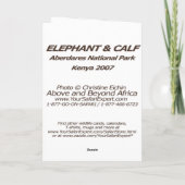 Elefant-und Kalb-Karte (Elefant-Stamm-Rahmen) Karte (Rückseite)
