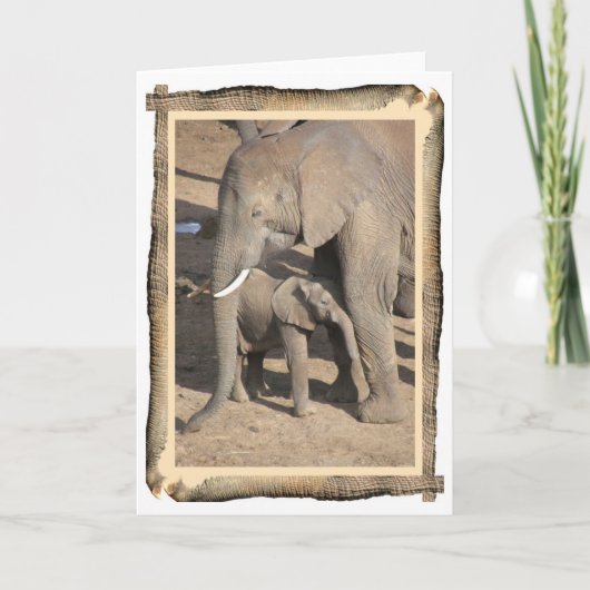 Elefant-und Kalb-Karte (Elefant-Stamm-Rahmen) Karte (Vorderseite)