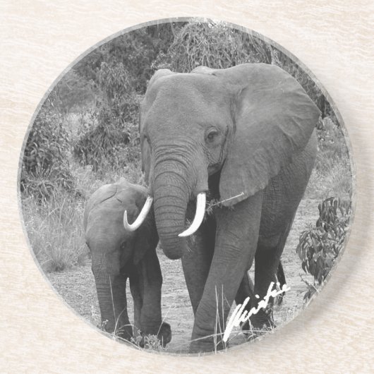 Elefant-und Kalb-Untersetzer Getränkeuntersetzer (Vorne)