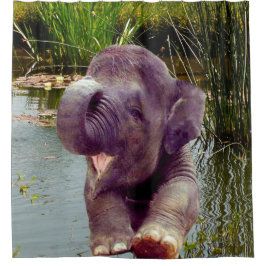 Elefant und Wasser Duschvorhang
