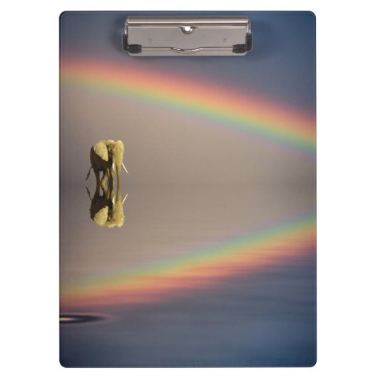 Elefant, Wasser & Regenbogen, Kenia Klemmbrett (Vorderseite)