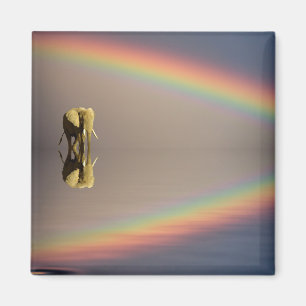 Elefant, Wasser & Regenbogen, Kenia Magnet