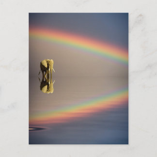 Elefant, Wasser & Regenbogen, Kenia Postkarte