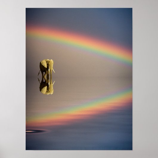 Elefant, Wasser und Regenbogen, Kenia Poster (Vorne)