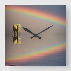 Elefant, Wasser und Regenbogen, Kenia Quadratische Wanduhr