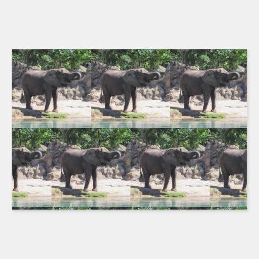 Elefant - Wrapping Paper Sheets Geschenkpapier Set (Vorderseite 2)