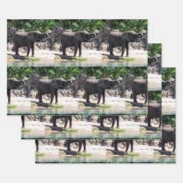 Elefant - Wrapping Paper Sheets Geschenkpapier Set