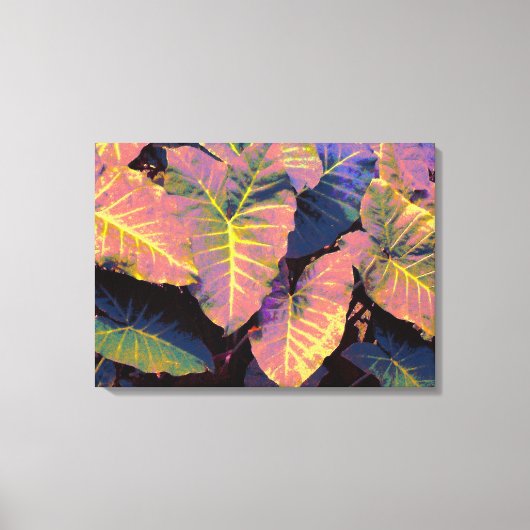 Elefante Blätter in tropischen Teichen Leinwanddruck (Vorderseite)