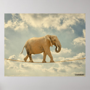 Elefante Poster