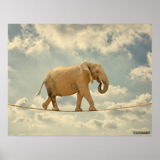 Elefante Poster (Vorne)