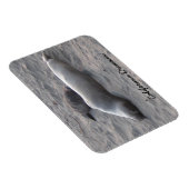 Elefante Siegel am Strand von Piedras Blancos Magnet (Rechte Seite)