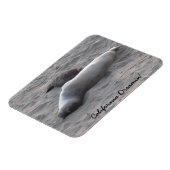 Elefante Siegel am Strand von Piedras Blancos Magnet (Linke Seite)