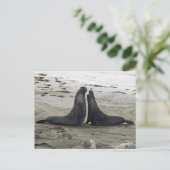 Elefante Siegel, die Postkarte bekämpfen (Stehend Vorderseite)