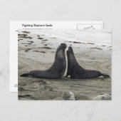 Elefante Siegel, die Postkarte bekämpfen (Vorne/Hinten)