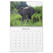 Elefanten 2025 kalender (Mär 2027)