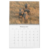 Elefanten 2025 kalender (Feb 2027)