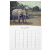 Elefanten 2025 kalender (Jan 2027)