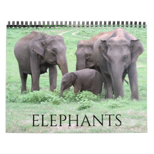 Elefanten 2026 kalender