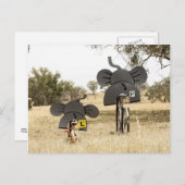 Elefanten auf Rädern Postkarte (Vorne/Hinten)