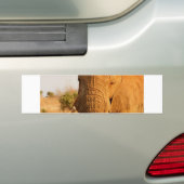 Elefanten Autoaufkleber (Auf Auto)