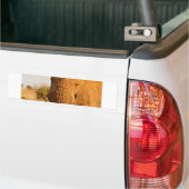 Elefanten Autoaufkleber (Auf Lkw)