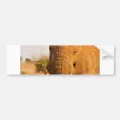 Elefanten Autoaufkleber (Vorne)