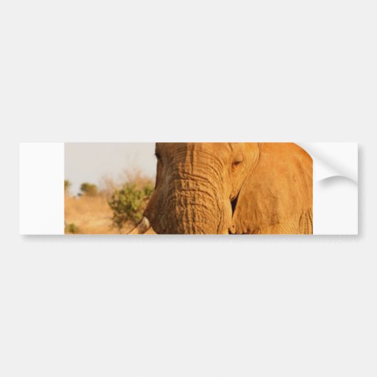 Elefanten Autoaufkleber (Vorne)