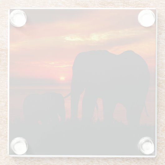 Elefanten bei Sunset Glasuntersetzer (Rückseite)