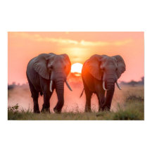 Elefanten beim Sonnenuntergang