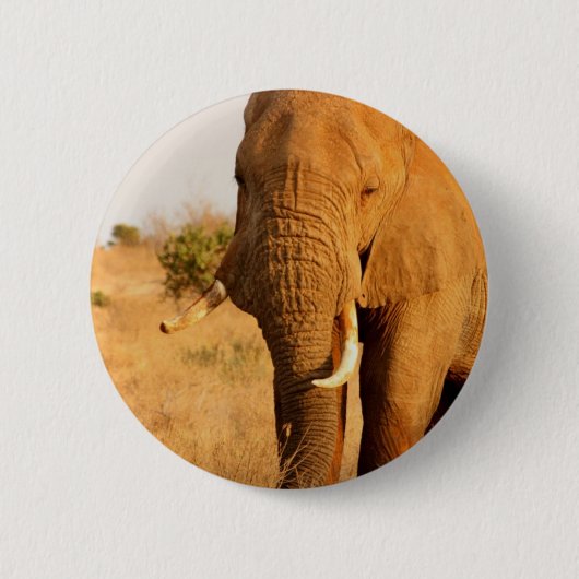 Elefanten Button (Vorderseite)