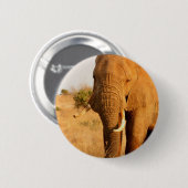 Elefanten Button (Vorne & Hinten)