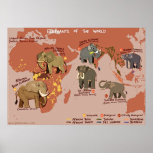 Elefanten der Welt Poster